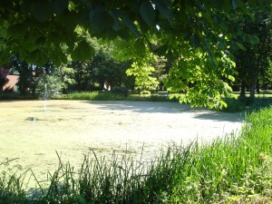 Dorfteich Gönnebek